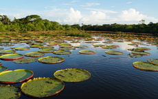 Guyana erneut als Top-Eco-Destination ausgezeichnet