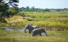 Neue Foto-Rundreise in Namibia