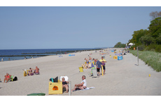 Großteil der polnischen Ostseeküste ohne Algenpest