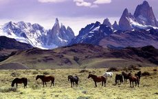Argentinische Nacht für Reiseprofis