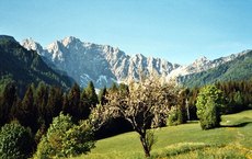 Entspannen im Almdorf