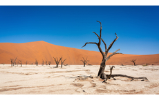 Namibia erleben – DIAMIR lädt zum Webinar für Reisebüros