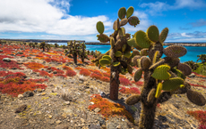 Galapagos Pro schult Counter-Profis zu Südamerika-Zielen