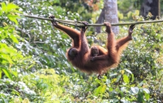 National Geographic Expeditions in Deutschland buchbar