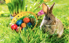 Ostergewinnspiel für Expedienten