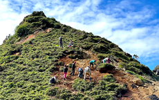 Hauser pflanzt für jeden Trekking-Tag Bäume in Nepal