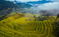 Intrepid Travel legt neue Asien-Erlebnisse auf