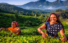 Kerala Tourism präsentiert sich in zwei deutschen Städten