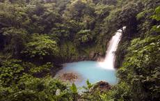 Nonstop von Frankfurt nach Costa Rica