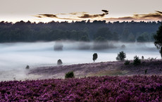 Fünf Naturparks in der zweiten Runde