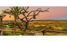 Erlebe Namibia mit Eurowings Discover