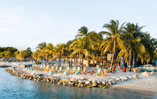 Coral und Ferien bringen mehr Karibik ins Programm