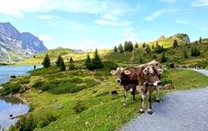 Eberhardt Travel schickt Aktivurlauber auf neue Routen