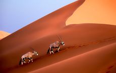 ASA tourt mit Afrika-Know-how durch Deutschland