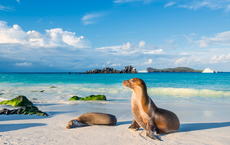 Miller Reisen schult Counter-Profis zu den Galapagosinseln