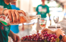 Grapevine verbindet Weintradition mit Festivalflair und Historie