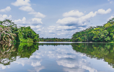 Tiwai Island wird erste Welterbe-Stätte in Sierra Leone