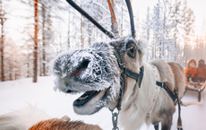 KLM baut Lappland-Angebot aus
