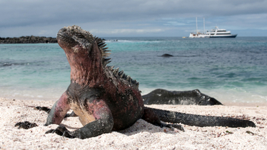 Galapagos-Inseln melden Besucherrückgang in 2024