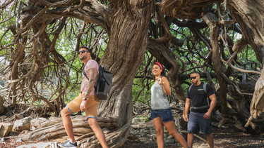 Wandern, Schnorcheln, Biken – Aruba setzt auf Naturerlebnisse