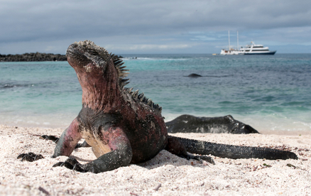 Galapagos-Inseln melden Besucherrückgang in 2024