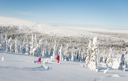 TUI fliegt erstmals nonstop ins Schneeparadies Sälen