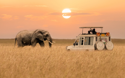 Safari-Tourismus braucht neue Destinationen