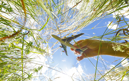 Reisebranche rückt Biodiversität in den Fokus